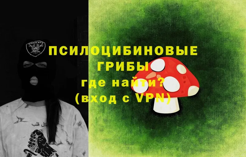 где найти наркотики  Агидель  Галлюциногенные грибы Psilocybine cubensis 